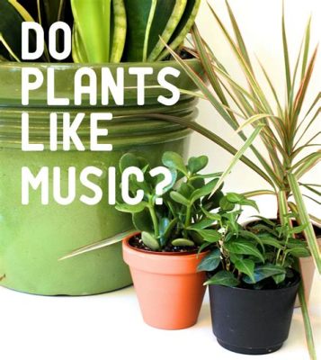 Do Plants Grow Better with Music? And Other Related Perspectives